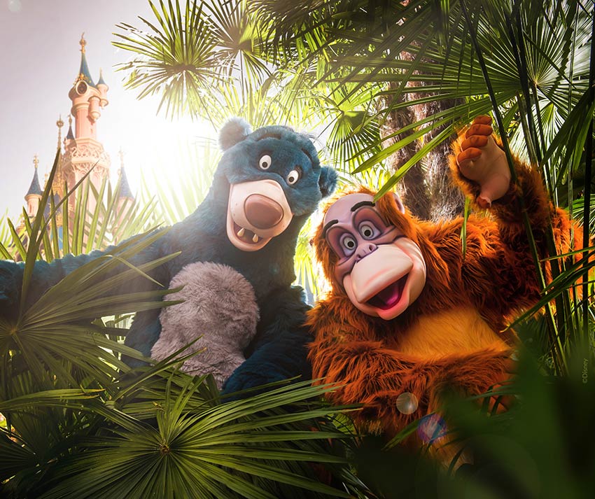 Jungle Boogie