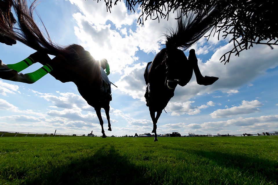 Thrilling horse racing, enjoy a flutter!